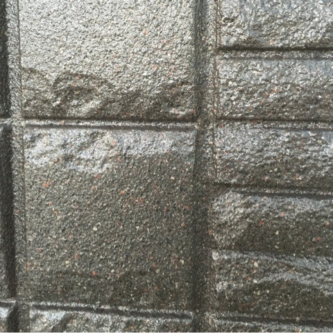 photo:06